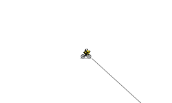 Zoom all the way in