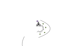 The Race         .2