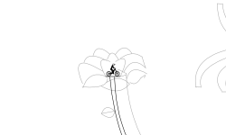 nature detailed