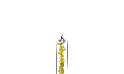The Star Drop (zoom out)