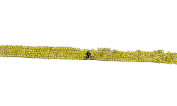 1,000 stars
