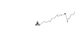 10 subs speed run