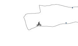 long tird