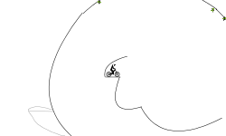 snail trail