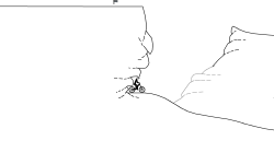 NorthSh0re