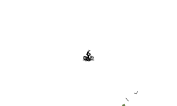 Dont Move