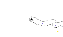 Cave story