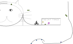The Cat Track