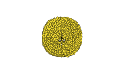 2241 stars