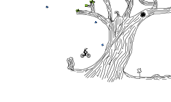 ALMOST DEAD TREE