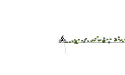 Field goal
