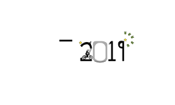 2019