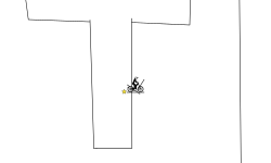 The splits