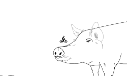 Squeal Piggy
