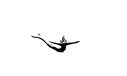 New logo