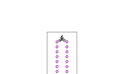 portal test