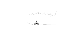 WHICH WAY???