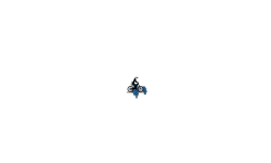 t wheelie