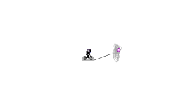 PC5: The $1,000,000,000 Star