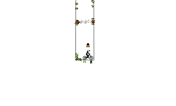 the zig zag track