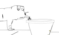 Bulldog
