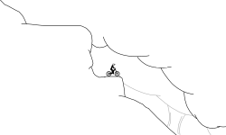 Forest Run