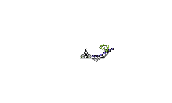 Re-animation