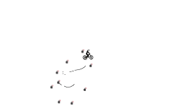 Short Bomb AUTO