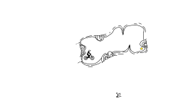 Minute Cave