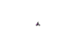 rider