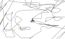 Scribble
