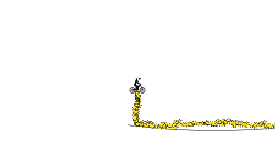 tricks with star collecting