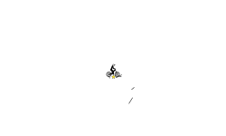 Long Map Part 1