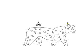 Speed of the cheetah