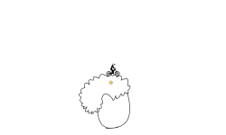 clown afro