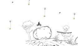 Forest Goliaths