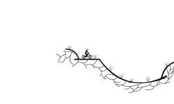 Rocky down hill