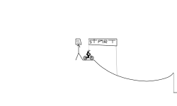 the race