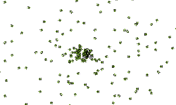 spin
