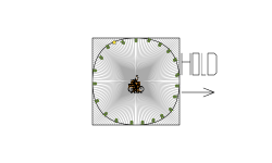 Speed on Light On Heli- desc