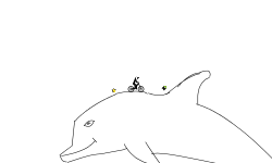 Ride the waves and dolphin