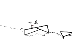 The biking dead