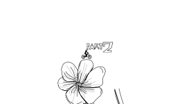 Seeds To Flowers Part 2