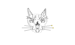 Feisty cat