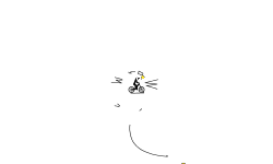 Flip Time ( auto )
