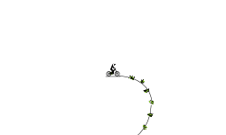 Auto level