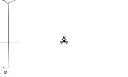 The ant