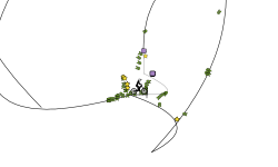 THE LOOP OF PAIN
