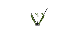 Long auto