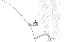 Forest Run